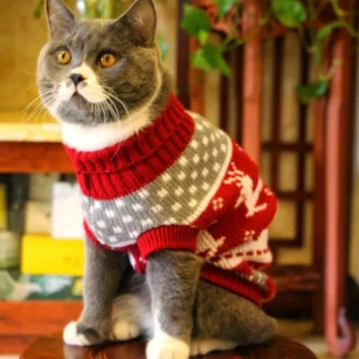 cute cat sweater – warm winter pullover for cats & kittens